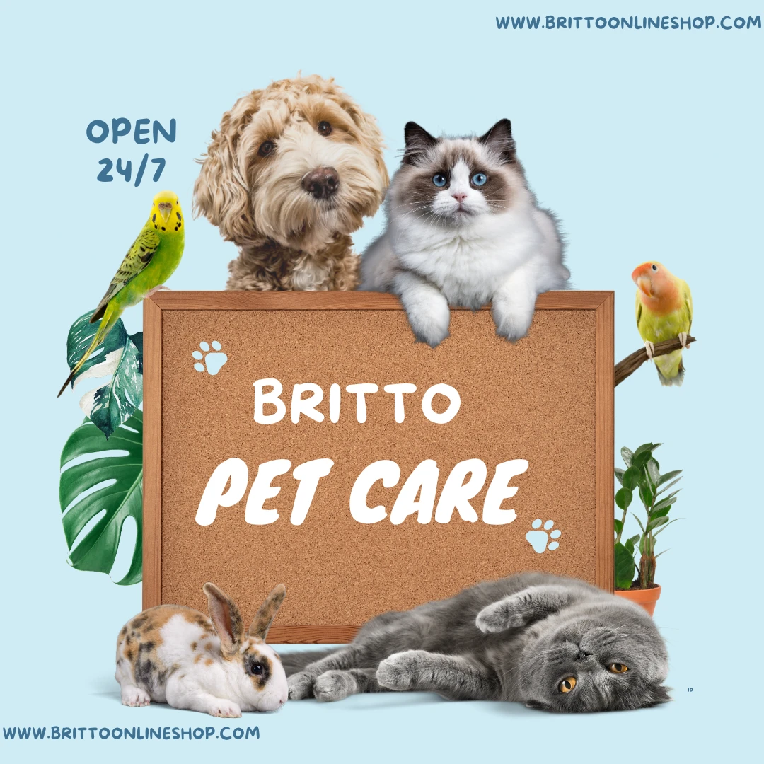 Pet Care
